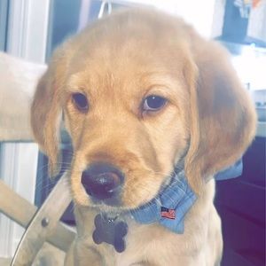 Meet your Posher, Madison